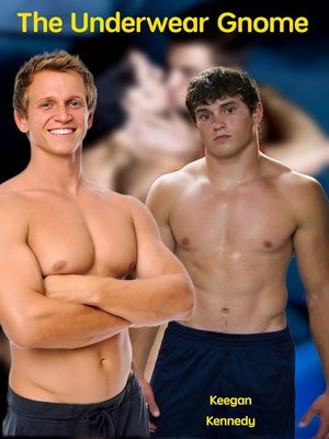 cover image of The Underwear Gnome